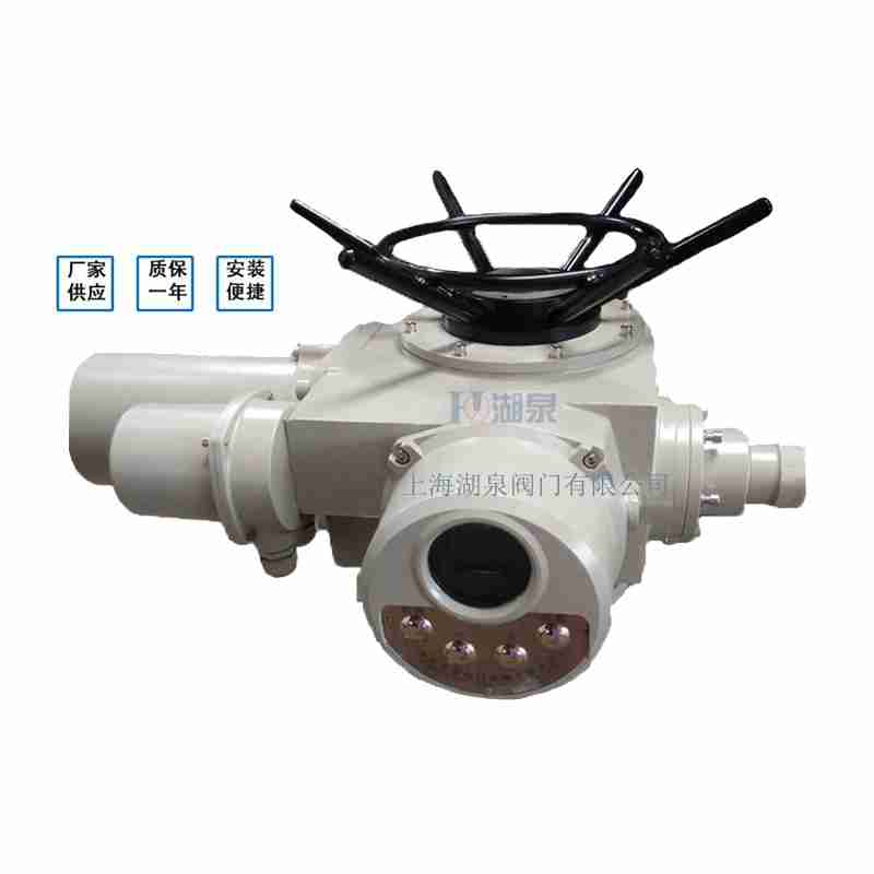 閥門電動裝置（dzw05,10,20，30,45,60，90,12