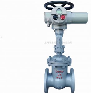 25公斤DN150電動(dòng)閘閥生產(chǎn)廠(chǎng)家
