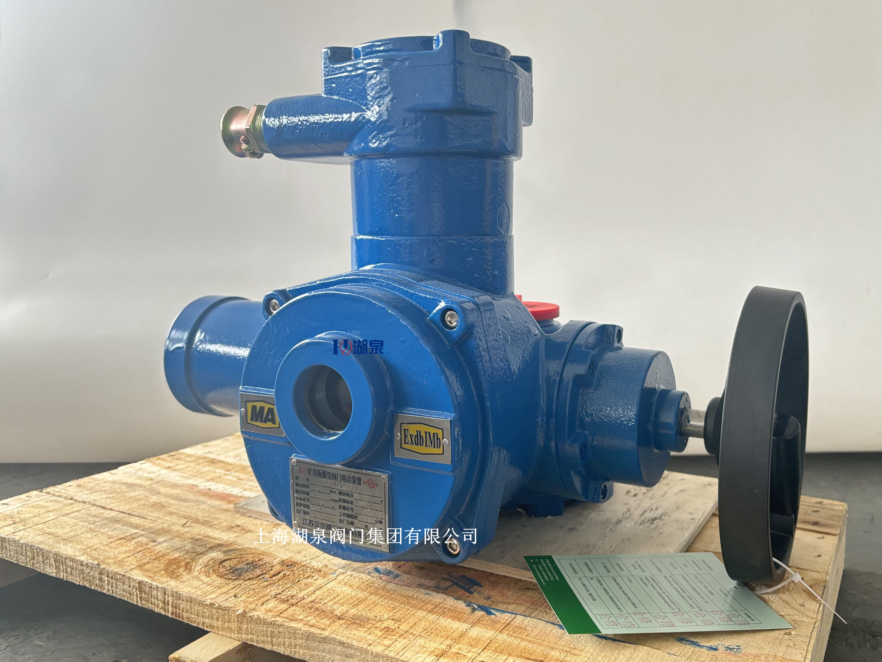 閥門(mén)電動(dòng)裝置